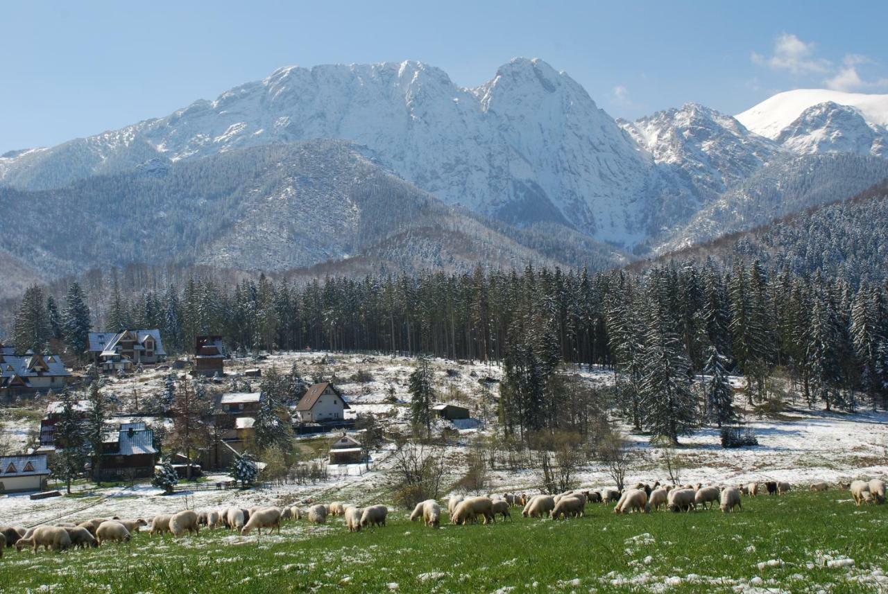 Domek Na Wierchu I Apartament Na Wierchu Zakopane Dış mekan fotoğraf
